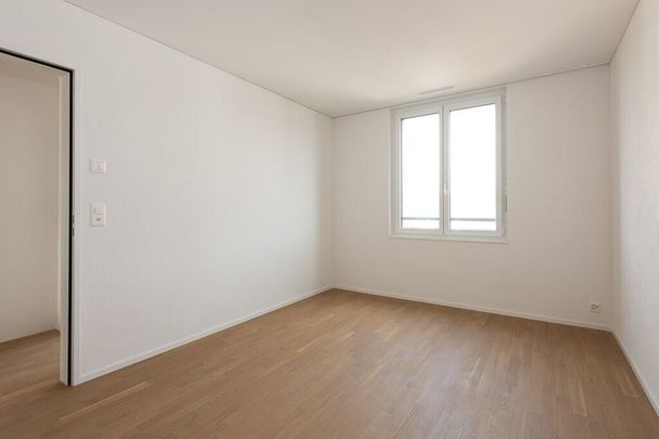 IN THE OAK FIELD – my Jona, my home - Foto 1