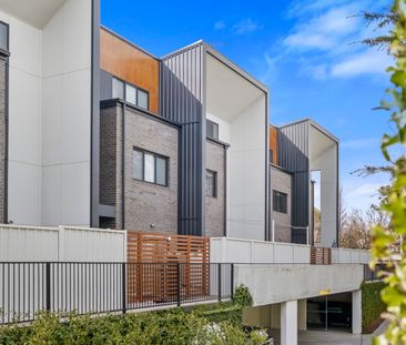 14/2 Berrigan Crescent, O'Connor ACT 2602 - Townhouse For Rent | Do... - Photo 3