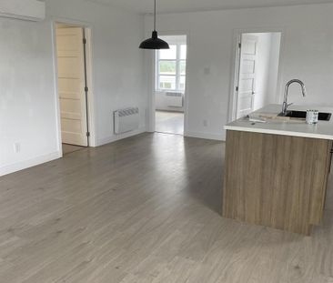 Immeuble - 176 Chemin Salois 4 1/2 Neuf à Louer - Photo 1