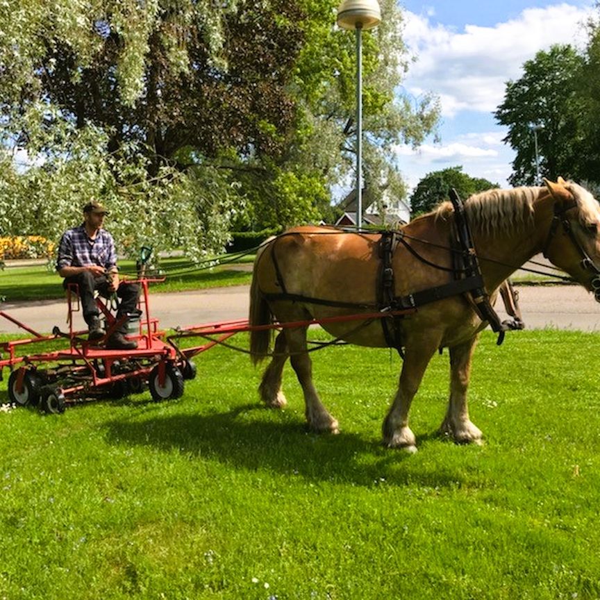 Danska Vägen 64 - Photo 2