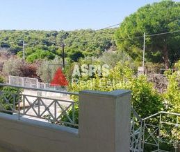 Μονοκατοικία για ενοικίαση - Μαρκόπουλο, - Photo 3