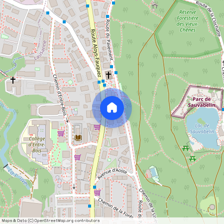 Route Aloys-Fauquez 108, 1018, Lausanne