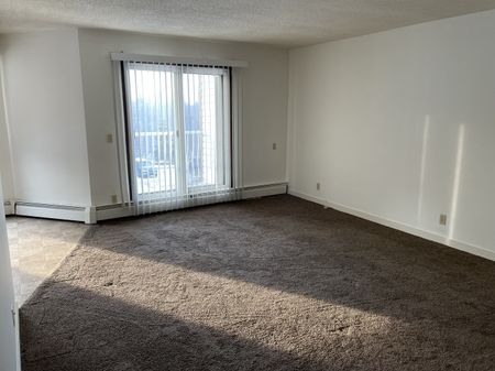 IN SUITE LAUNDRY! 2 BED TOP FLOOR SUITE SMALL PET FRIENDLY! - Photo 4
