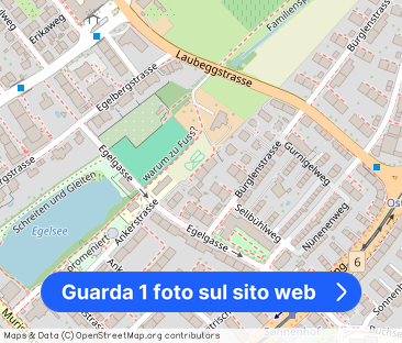 Close to nature and urban at the same time - living near Egelsee - Foto 1