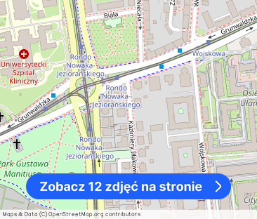 Urokliwa kawalerka w willi miejskiej poznańskiego Grunwaldu - Zdjęcie 1