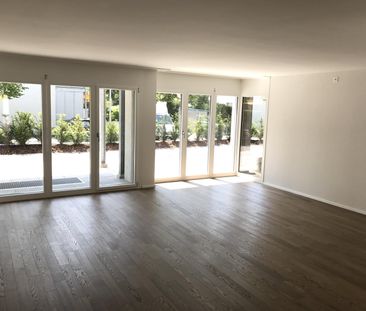 2.5 Zimmer, EG - Photo 5