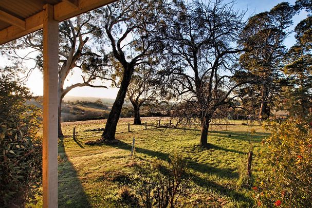 Peace & Tranquilty- Country Cottage - Photo 1