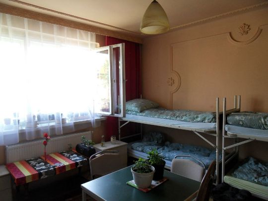 Sosnowiec, Pogoń - Photo 1