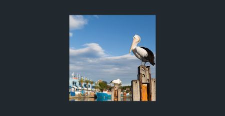 ULTRA MODERN EXECUTIVE TWO BEDROOM - CITY VIEWS AND CONVENIENCE - Photo 3