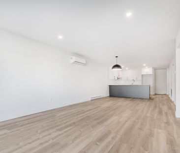 Appartement à Montréal (Mercier/Hochelaga-Maisonneuve) - Photo 5