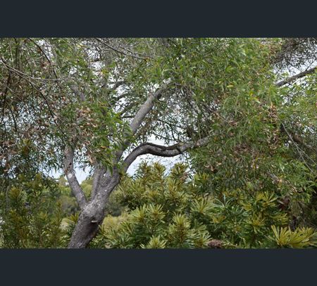 Address available on request, Peregian Beach, Qld 4573 - Photo 5