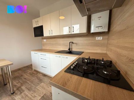 Pronájem bytu 2+1, 52 m - Photo 3