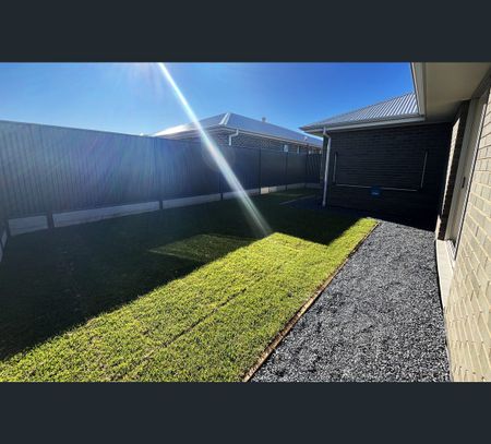 25 Corymbia Ave, Riverlea Park, SA 5120 - Photo 5