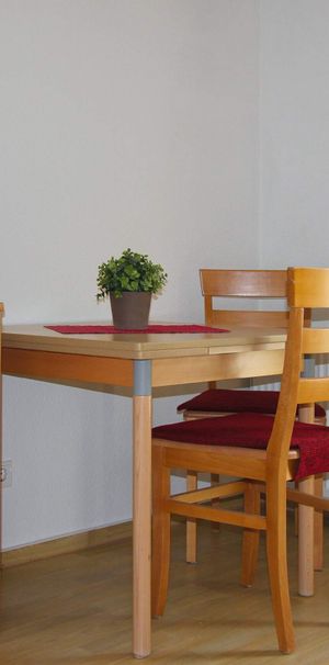 Alternative zum Hotel - Möbliertes Apartment in zentraler Lage! - Photo 1