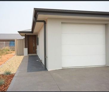 Modern Granny Flat in Spring Farm! - Photo 5