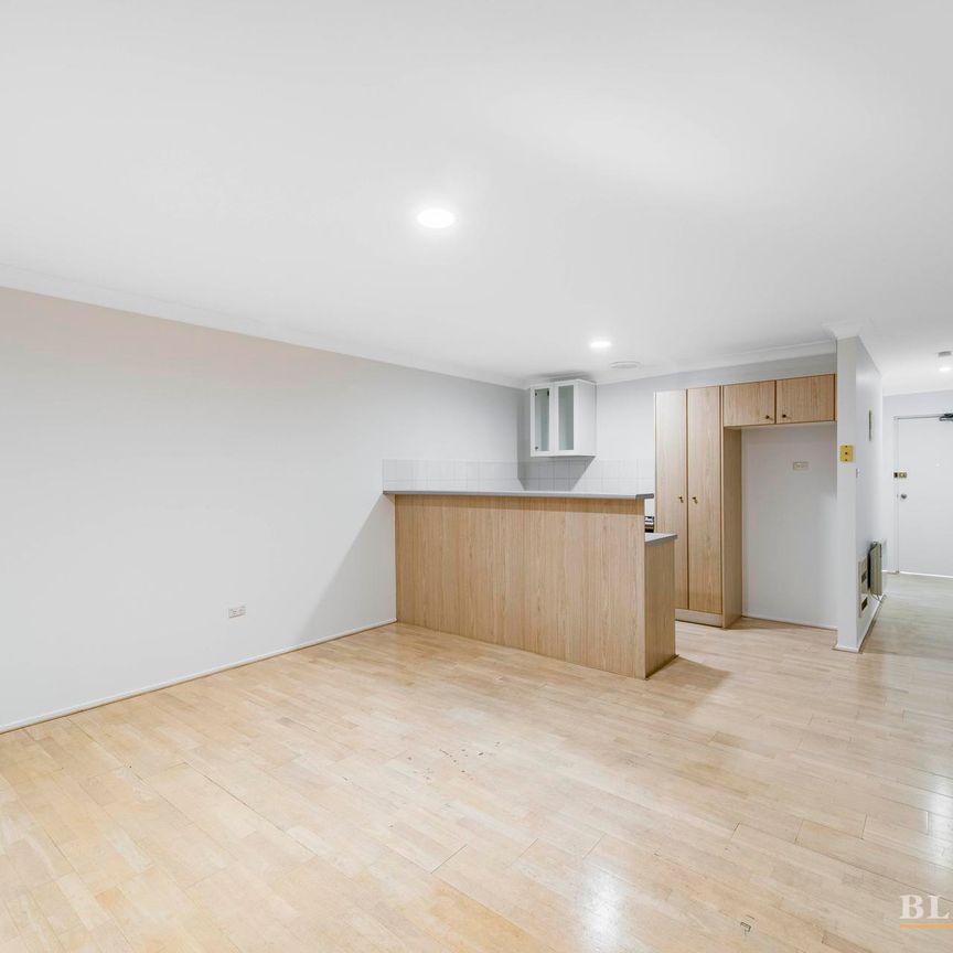 12a/12 Albermarle Place, Phillip ACT 2606 - Apartment For Rent | Domain - Photo 1