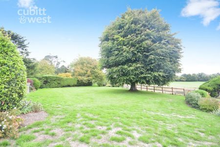 4 bedroom semi-detached house to rent - Photo 5