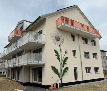 4 appartements neufs de 3,5 pces - Route d'Yverdon 3 - 1373 Chavornay - Photo 4