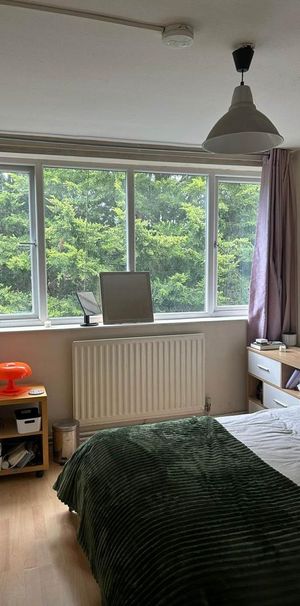 1 bedroom in a house share to rent - Photo 1