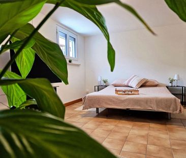 Zweizimmerwohnung mit Terrasse und eigenem Eingang in Losone, ideal... - Foto 1