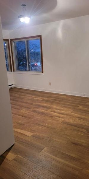 6 1/2 - Montréal (La Petite-Patrie) - 2 500 $/mois - Photo 1