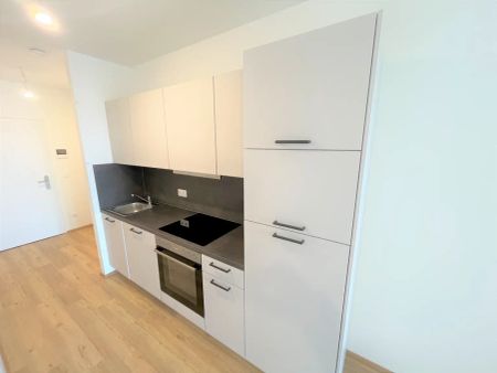 Moderne 1-Zimmer Wohnung mit Balkon in den Reininghaus-Gründen - Foto 3