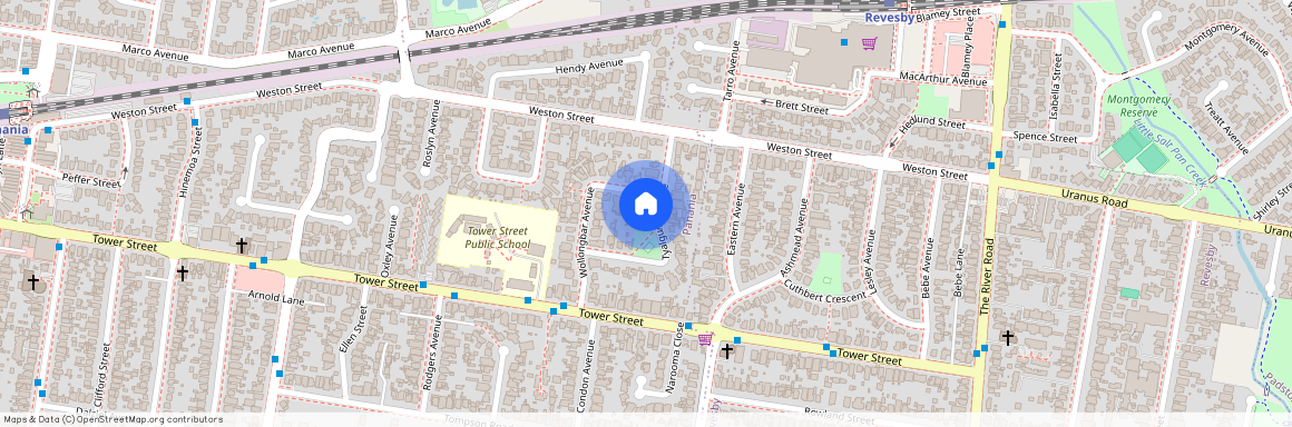 10a Tyalgum Avenue, NSW 2213, Panania