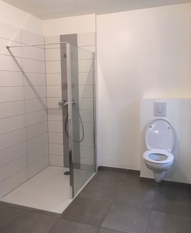 Location Appartement 1 pièce 35m² SELESTAT 67600 - Photo 2