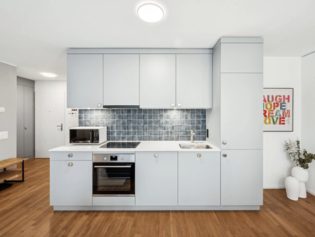 Design apartments in the Lisbon style Directly at the Muttenz train station - Photo 3