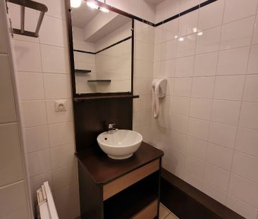 Location Appartement 1 pièce 19m² - Photo 6