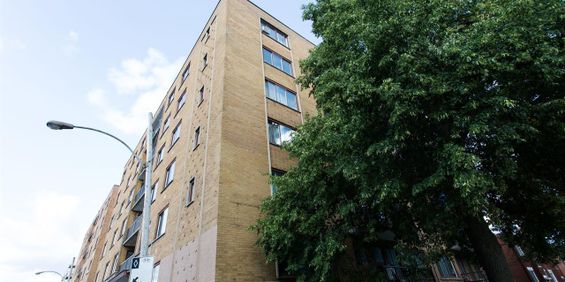 202-6940 - 6920 Fielding, Montréal - Photo 3