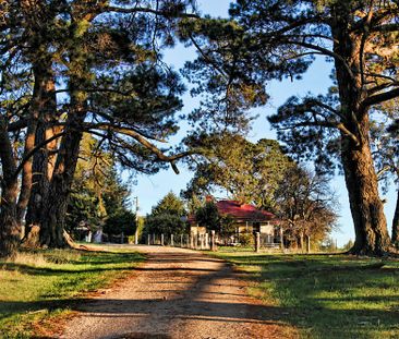 Peace & Tranquilty- Country Cottage - Photo 2