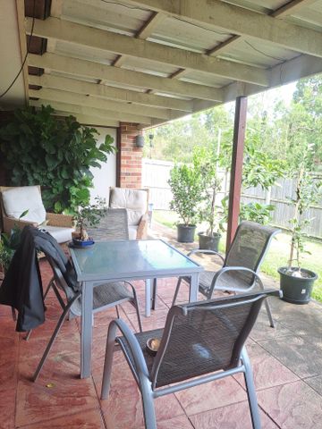 Forest Lake - Photo 5