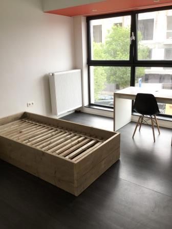 FOR STUDENTS ONLY! Studio apartment for rent at THE LINK - Photo 2
