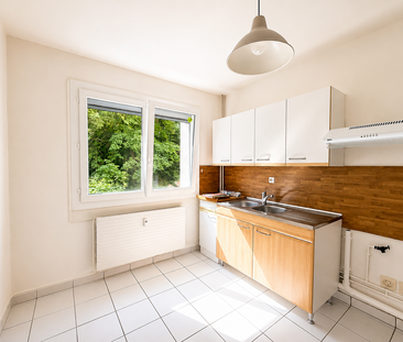 Location Appartement 2 pièces 55m² ST MAX 54130 - Photo 2