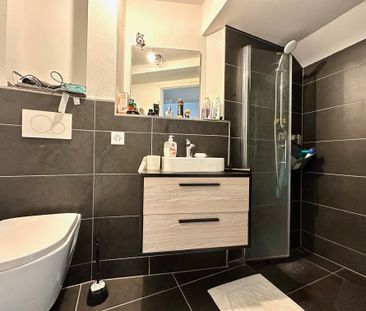 Maisontte apartment with large terrace - Photo 4