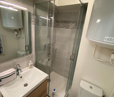 Location Appartement 1 pièce 24m² TOURS 37100 - Photo 6