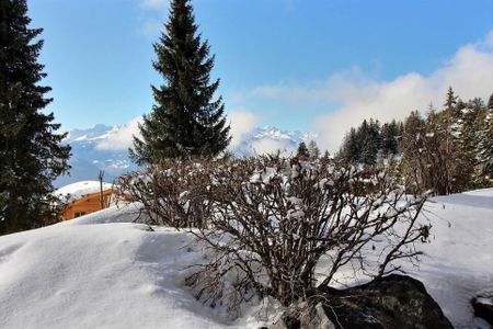 weekly rental apartment on the pedestrian village square - Photo 3