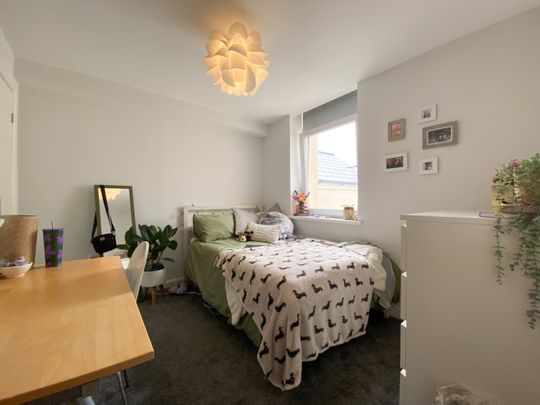 Cranbrook Street, Cathays - Photo 1