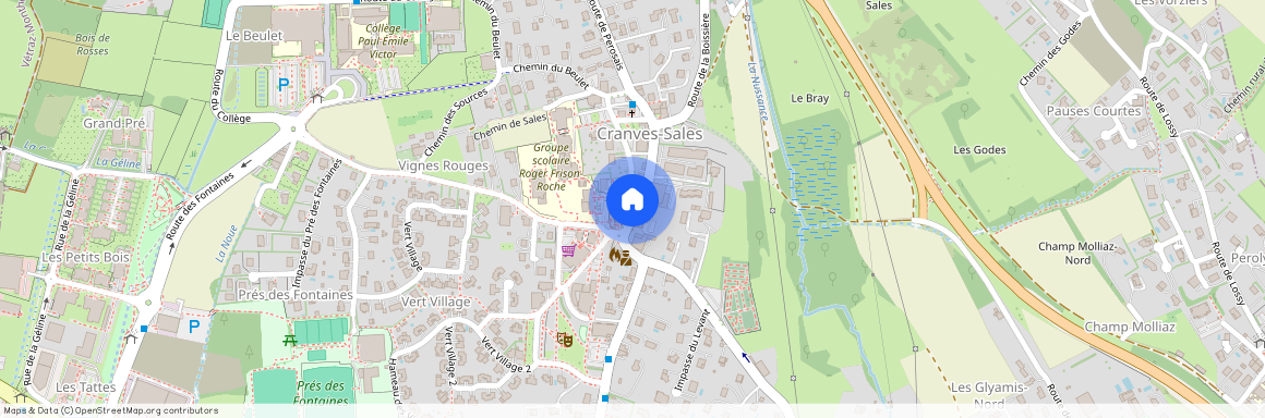 AUVERGNE-RHÔNE-ALPES, HAUTE-SAVOIE (74), 74380, Cranves Sales