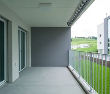 Vie calme et naturelle - Vous êtes au bon endroit - Photo 6