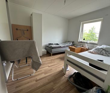 Vikaholmsallen, Växjö - Foto 3