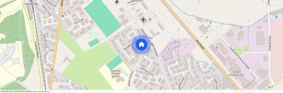 Danes Hill Road, Coleraine, BT52 2QS