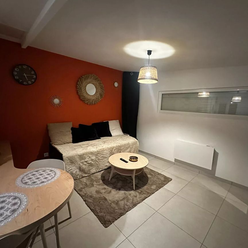 Studio Chamagnieu avec jardinet - Photo 1