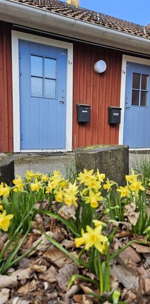Blå vägen 245 - Foto 1