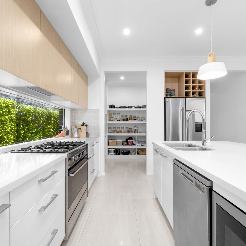 9 Gemini Street, Riverstone NSW 2765 - House For Rent | Domain - Photo 1