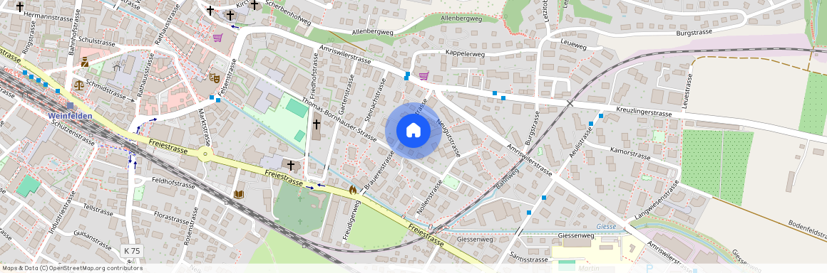 Brauereistrasse 7, 8570, Weinfelden