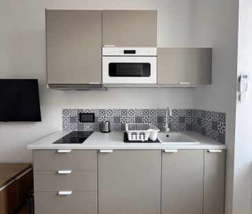 Location Appartement 1 pièce 18m² MONTIGNY LES METZ 57950 - Photo 3