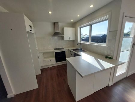 41 Moreland Avenue, Papanui - Photo 5