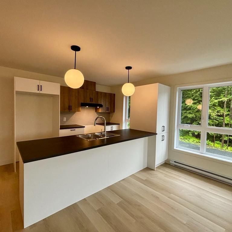 Logement 4 1/2 - Windsor projet Place du Barrage - Photo 1